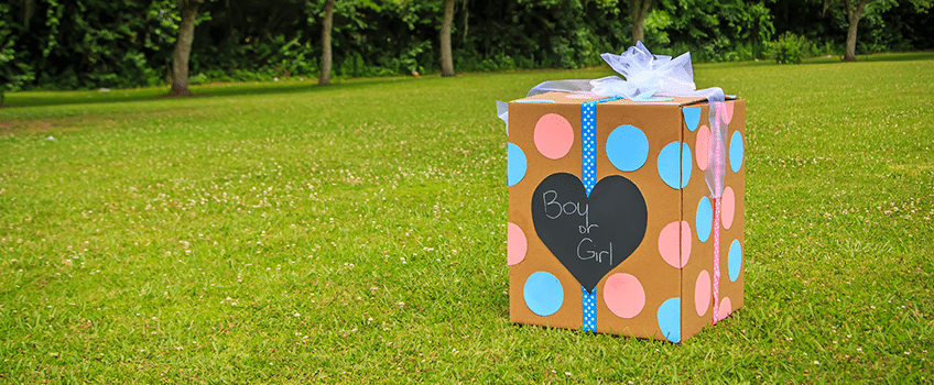 The Holidays Millennial Moms Celebrate Millennial Mom Pregnant Holiday Gender Reveal